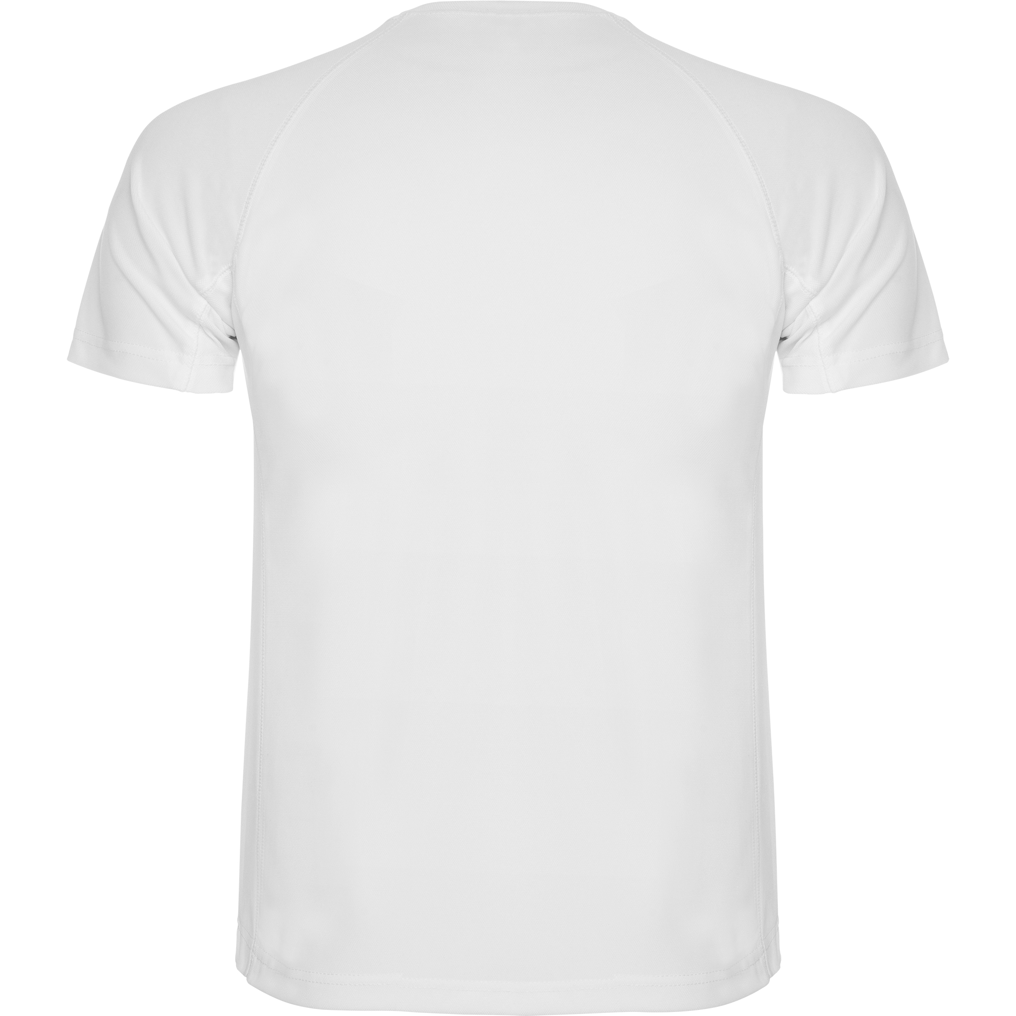 montecarlo montecarlo