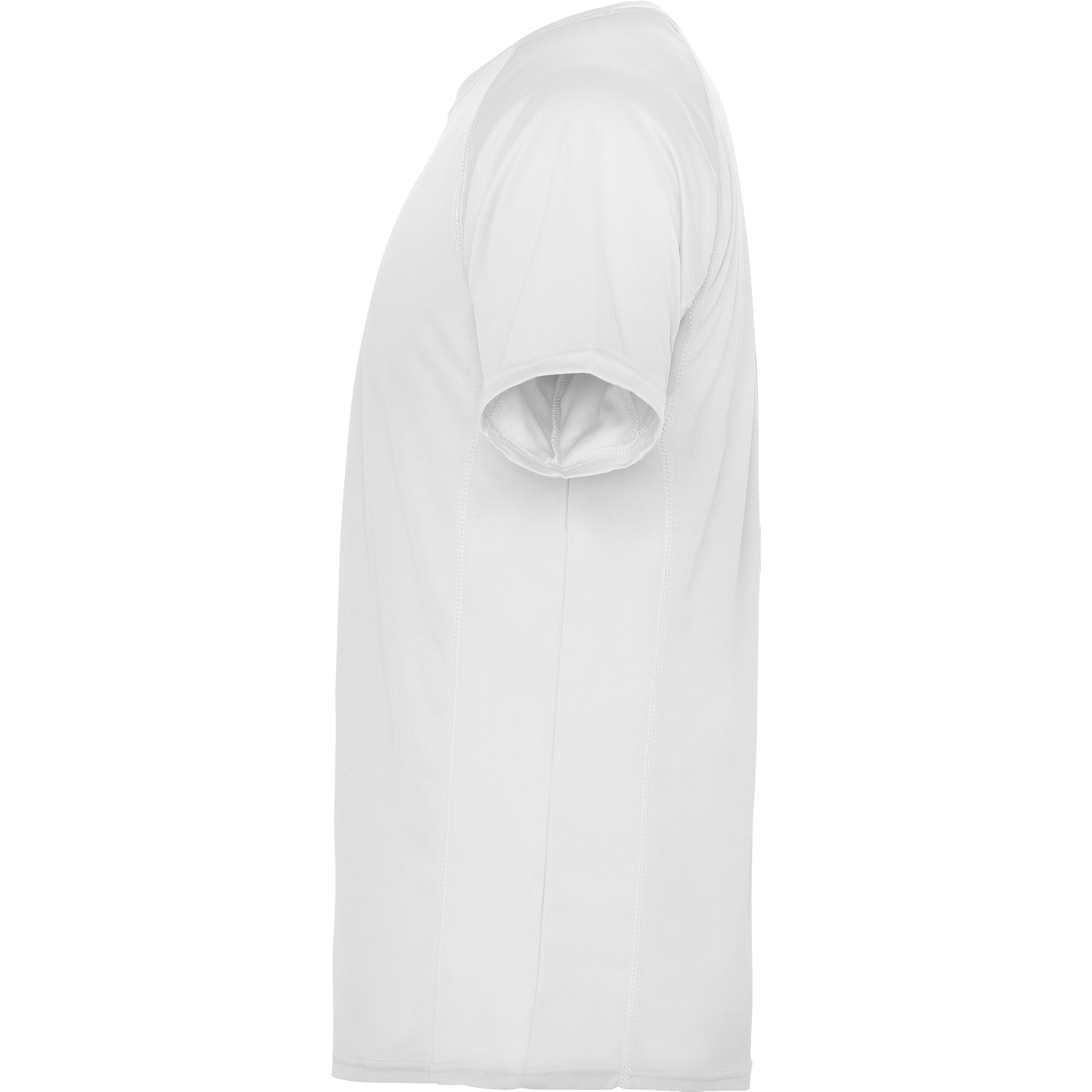 montecarlo montecarlo