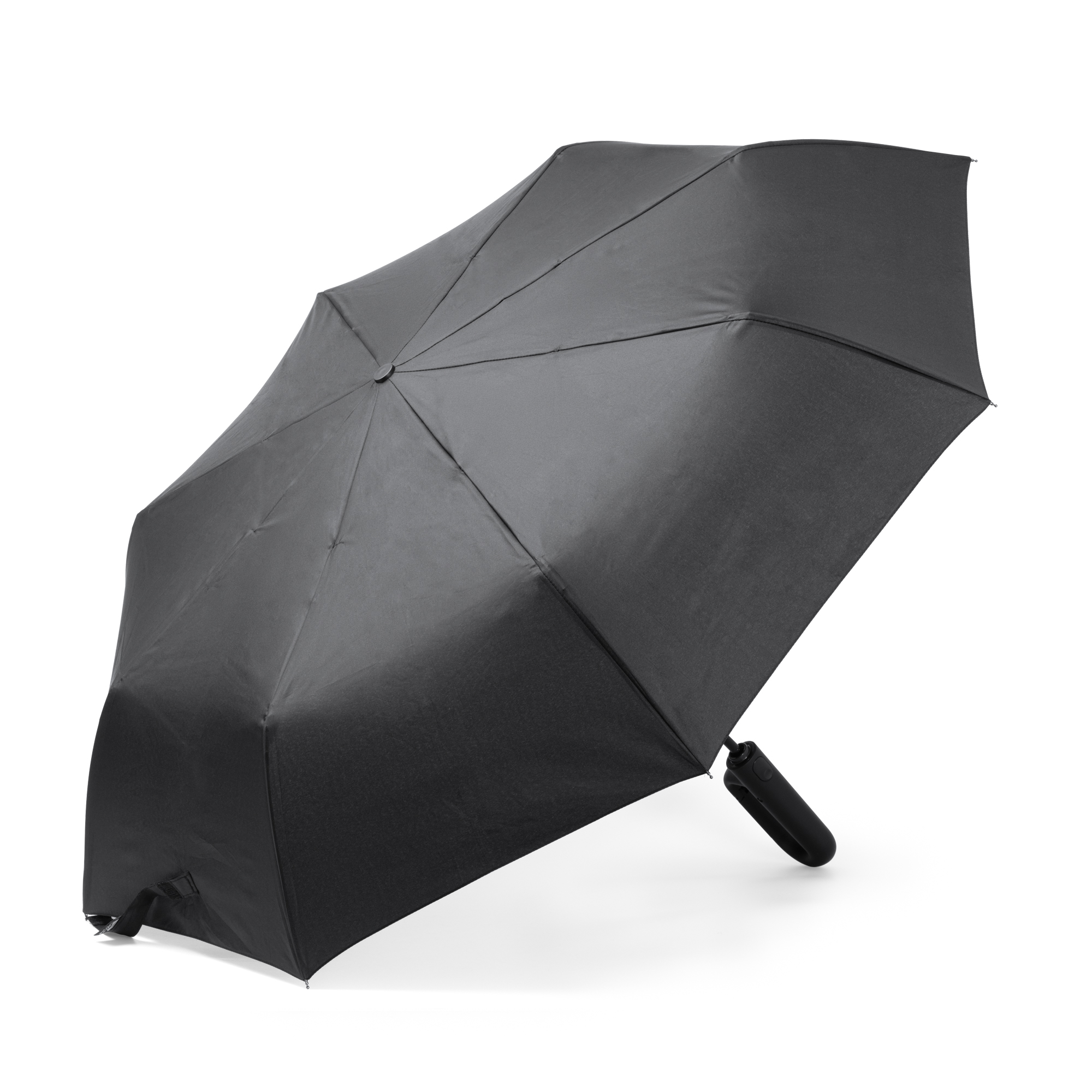 alcira alcira