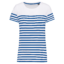 White / Royal Blue Stripe