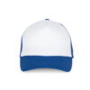 White / Royal Blue