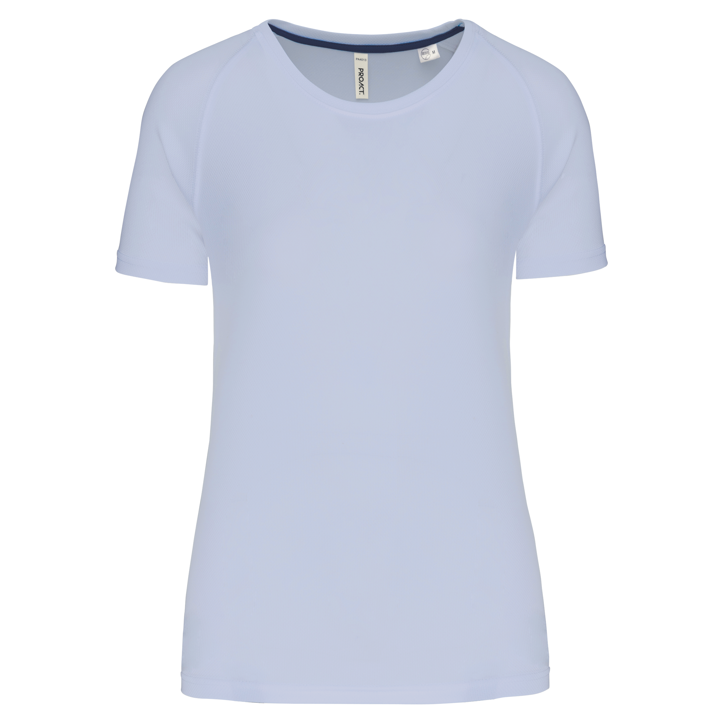 ps pa4013 icebergblue.png ps pa4013 icebergblue.png